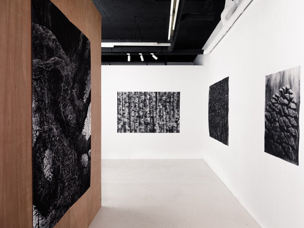 Marco_Chamorro_Drama_Galerie©Benoit_Beauchaine_2024-06