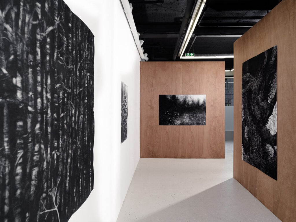 Marco_Chamorro_Drama_Galerie©Benoit_Beauchaine_2024-07