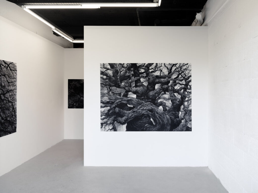 Marco_Chamorro_Drama_Galerie©Benoit_Beauchaine_2024-08