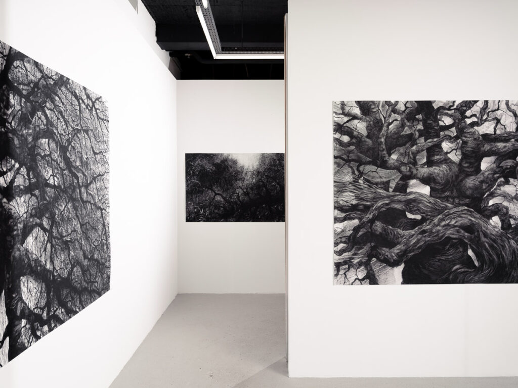 Marco_Chamorro_Drama_Galerie©Benoit_Beauchaine_2024-09