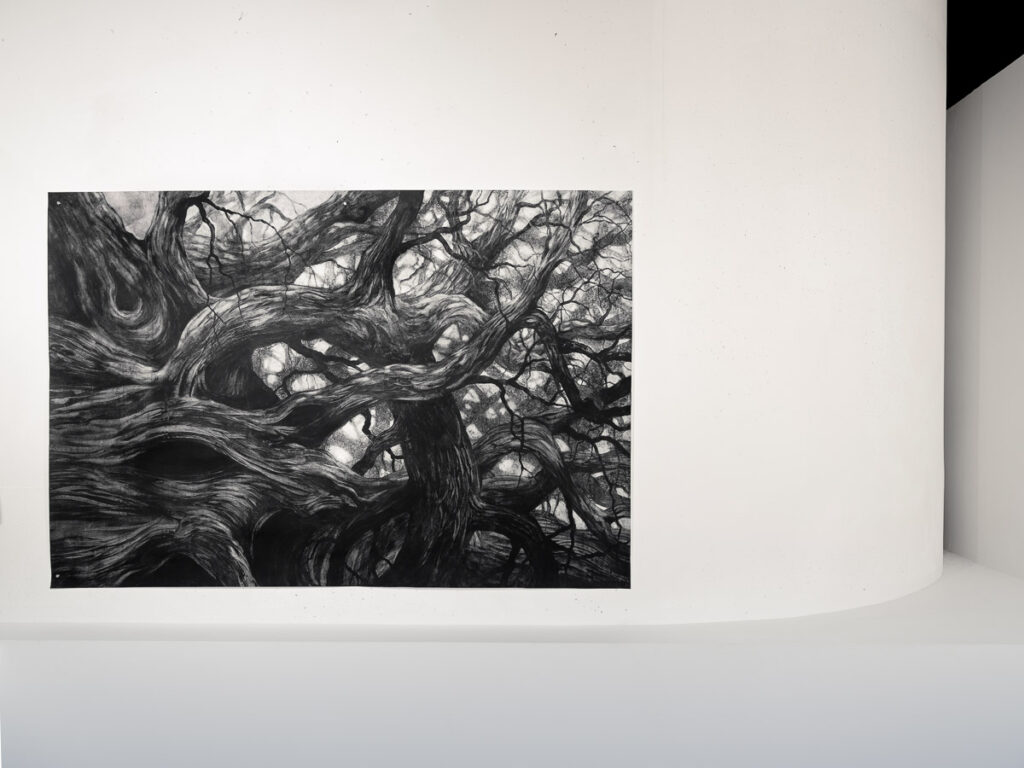 Marco_Chamorro_Drama_Galerie©Benoit_Beauchaine_2024-10