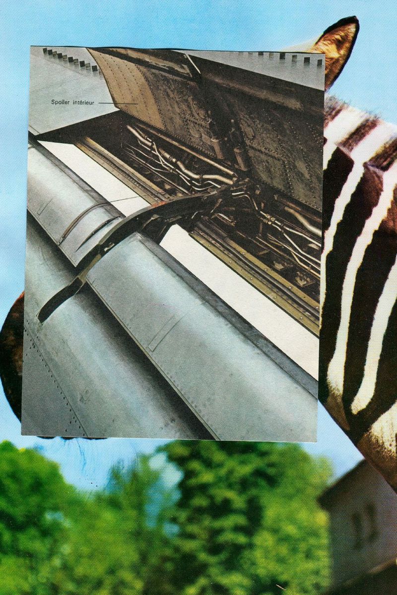 Réacteur zèbre - 40x60, print by Mathieu Renard