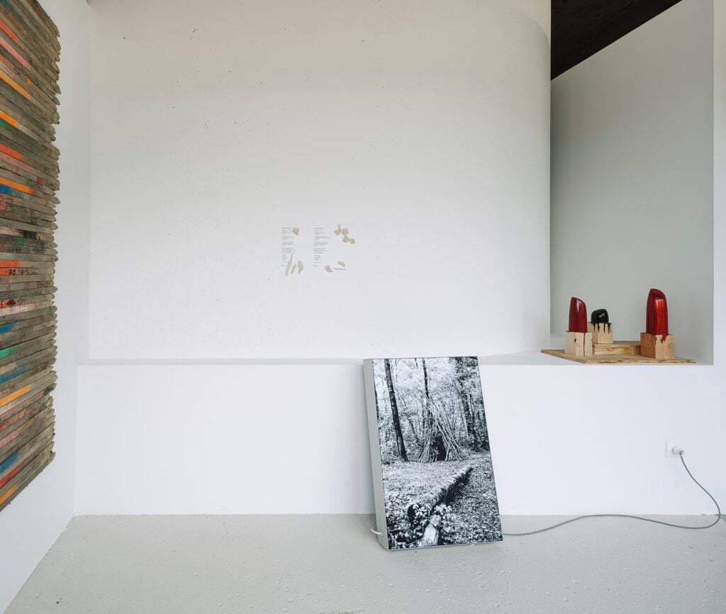 WoodWoodWood_Drama©Benoit_Beauchaine_2025-06