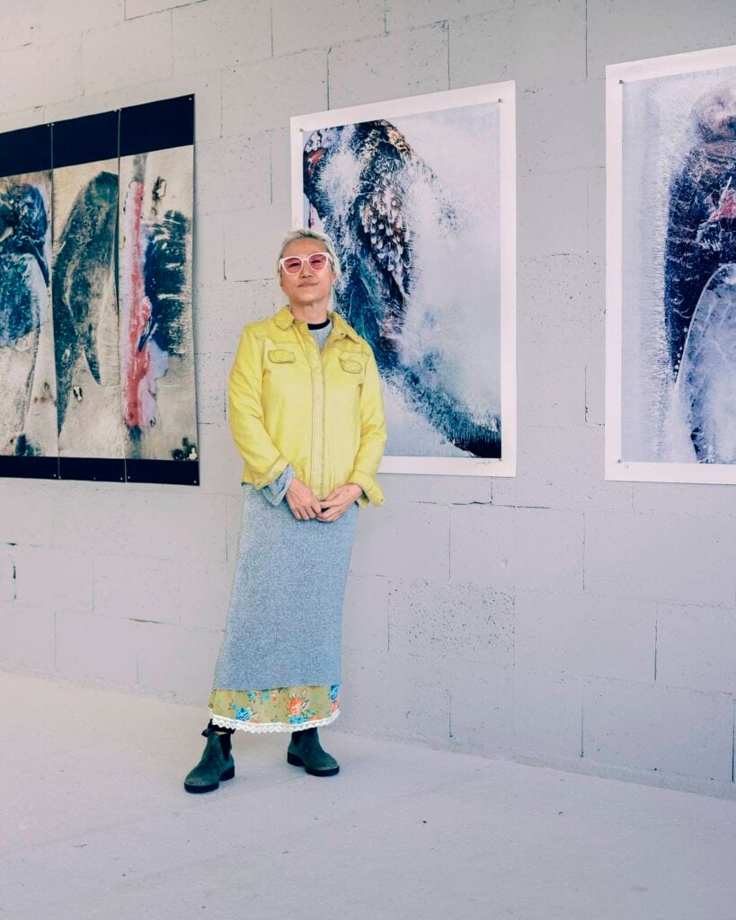 Sun Hi Zo © Benoit Beauchaine Sun Hi Zo © Benoit Beauchaine